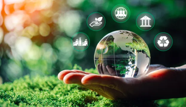 Encíclica Laudato Si completa 10 anos e inspira Comitê FUNDASP ESG